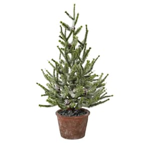 Weihnachtsbaum
