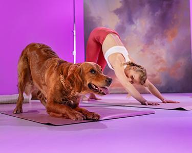 Yoga avec un chien