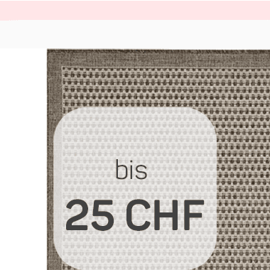 Teppiche bis 25 CHF