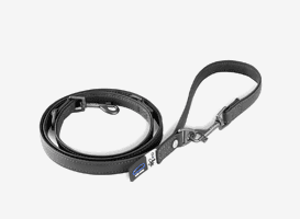 Laisse noire pour chien avec poignée et mousqueton métal, posée à plat sur fond clair
