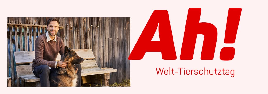 Ah! Welt-Tierschutztag – Mann sitzt auf Holzbank und streichelt neben sich einen großen Hund