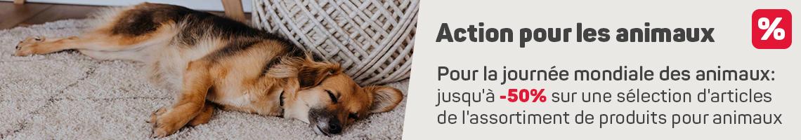 Action pour les animaux sur ackermann.ch