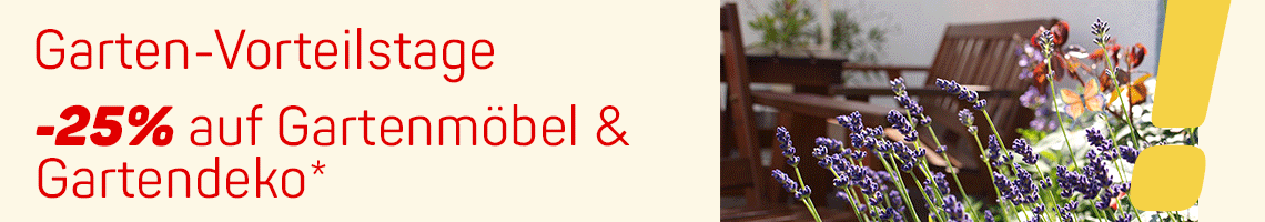 Garten-Vorteilstage -25 % auf Gartenmöbel & Gartendeko. Lavendel im Vordergrund, Holzstühle im Hintergrund.