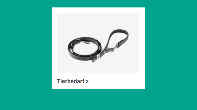 Tierbedarf – zusammengerollte Hundeleine mit Schlaufe und Verschluss auf hellem Hintergrund