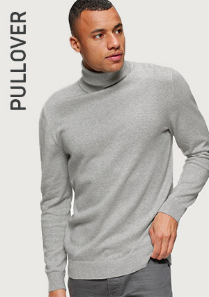 Pullover bei ackermann.ch